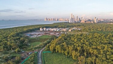 Licitación para plan de manejo de humedal queda desierta