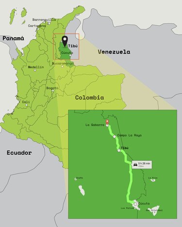 Los rostros del hambre tras la crisis de la coca en Colombia