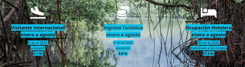 Ingresos por turismo alcanzaron los $4,417 millones hasta agosto