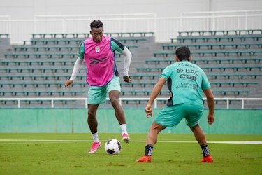 Panamá retoma entrenamientos en Tokio y se enfoca en Ecuador