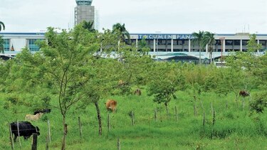 $7 millones costaría sede para estudios agropecuarios