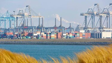 La revolución tecnológica del "food valley": cómo Países Bajos logró ser el tercer exportador mundial de alimentos con un territorio tan pequeño