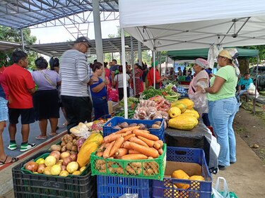 Agroferias del IMA: dónde y cuándo comprar este lunes 15 de septiembre
