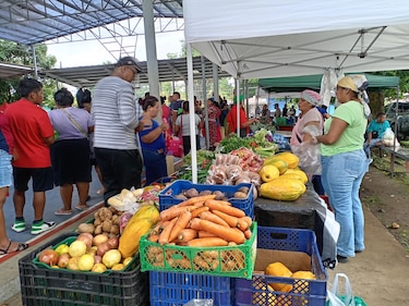 Agroferias del IMA: dónde y cuándo comprar este lunes 15 de septiembre