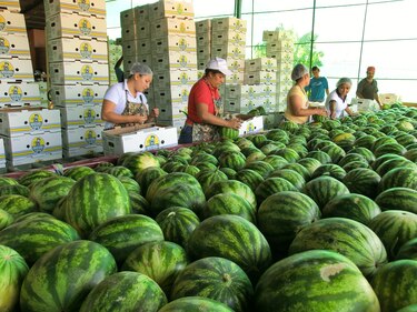Panamá puede exportar con arancel cero a Estados Unidos, al ser excluída de las nuevas tasas 