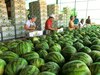 Panamá puede exportar con arancel cero a Estados Unidos