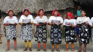 Comunidades gunas reciben la Biblia en su idioma