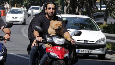 ¿Por qué sacar a pasear a tu perro en Irán te puede llevar a la cárcel?