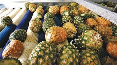 China inspeccionará plantas locales