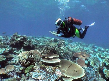 Unesco pide a Australia actuar ante deterioro de la Gran Barrera de Coral