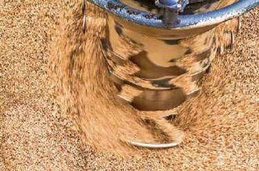 Europa pierde peso en sector maderero