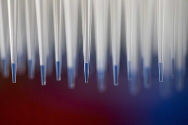 Un virus modificado podría llevar a una vacuna más efectiva contra la gripe