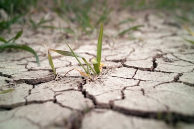 El Ejecutivo destina $80.2 millones para el fenómeno de El Niño en el presupuesto de 2027
