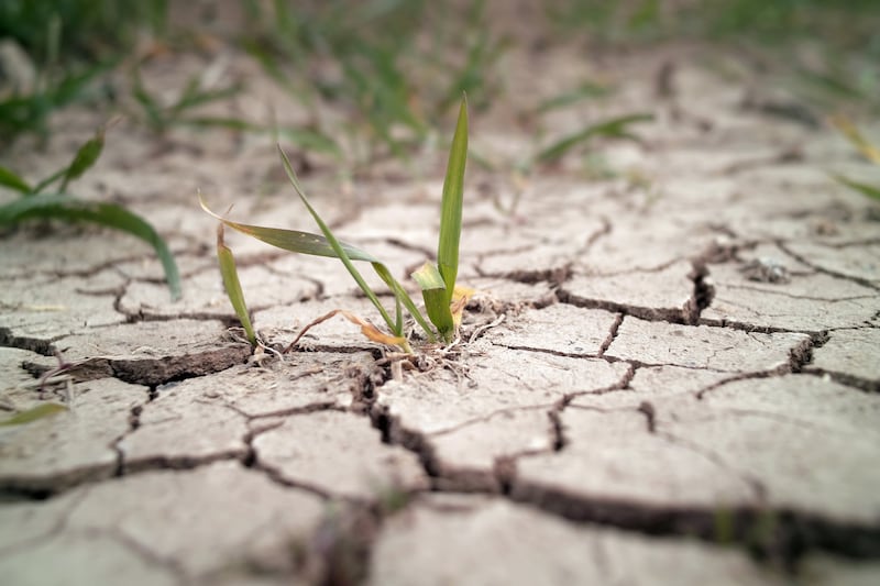 IMHPA advierte sobre El Niño y condiciones secas en varias cuencas de Panamá