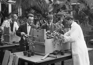 Una exposición en París revela la 'vida social' de las plantas tropicales