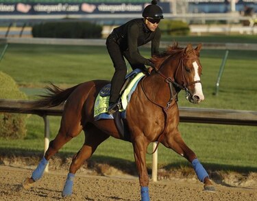 Justify parte como favorito en el Derby de  Kentucky