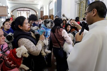 Mascotas mexicanas reciben la bendición de San Antonio Abad para tener muchos años de vida