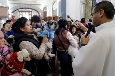 Mascotas mexicanas reciben la bendición de San Antonio Abad para tener muchos años de vida