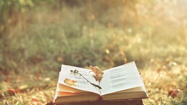La poesía se enaltece