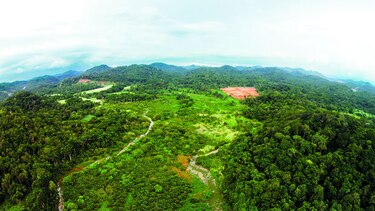 Daños ambientales, sin ley