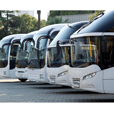 MiBus iniciará su primera ruta verde hacia el Casco Antiguo a partir del 31 de marzo