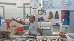 Pescados y mariscos frescos en Río Hato