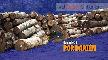Nuevos nombramientos en el gobierno y la tala en el Darién