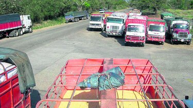 250 mil quintales de maíz, sin mercado