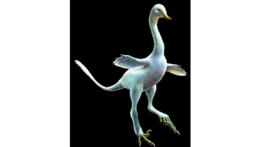 Dinosaurio, mezcla de pato, cocodrilo, avestruz y cisne