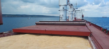 Casi sin Marina, Ucrania mantiene alejada a la flota rusa y expande el comercio marítimo