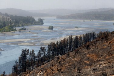 Incendios reviven con fuerza en sur de Chile y Gobierno reconoce preocupación