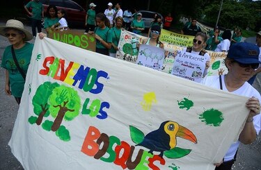 Residentes de Clayton continúan su lucha a favor de los bosques