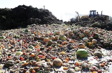 FAO: Uruguay pierde un millón de toneladas de alimentos al año