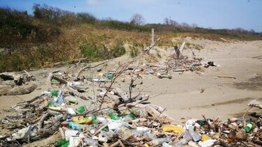 Encuentran gran cantidad de basura en las playas santeñas