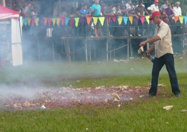 Prohíben fuegos artificiales durante desfiles de fundación de Macaracas