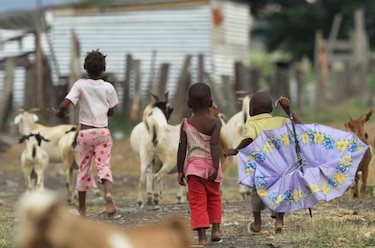FAO: La agricultura es el motor para acabar con el hambre en África