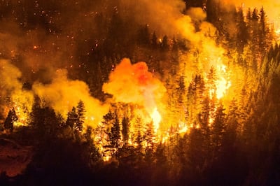 Brigadistas combaten incendios que arrasan más de 15,000 hectáreas en la Patagonia argentina