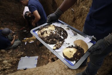 Descubren piezas de oro y cerámicas de la época prehispánica en el parque arqueológico El Caño