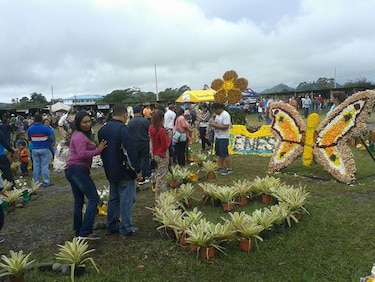 Invertirán $95 mil en la segunda Parada de Las Flores en Volcán