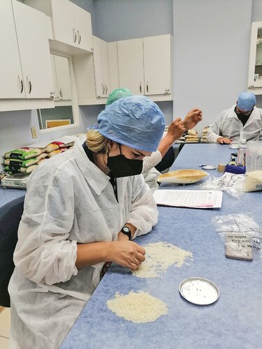 Comerciantes confirman falta de arroz de primera; Acodeco verifica la calidad del grano
