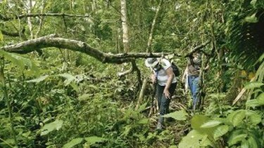 Darién, sin fuego en áreas protegidas