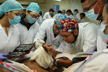 Ifarhu rectifica y mantiene en 4.0 la nota mínima para poder postularse a becas de medicina