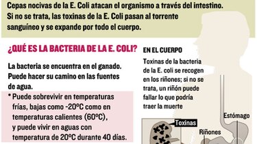 Lidiando con la E. coli