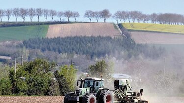Estados Unidos desperdicia 150 mil toneladas de alimentos al año