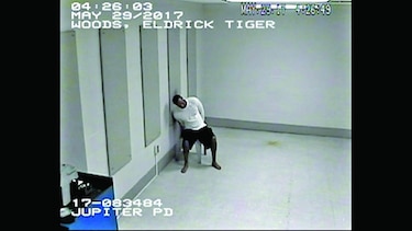 Difunden un nuevo video del arresto de Tiger Woods