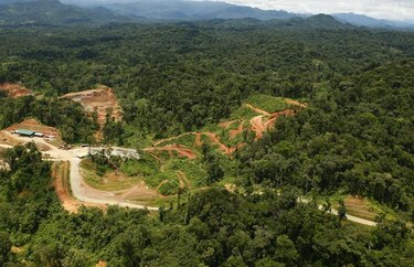 Donoso recupera su categoría de reserva natural