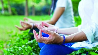 Un día para la meditación