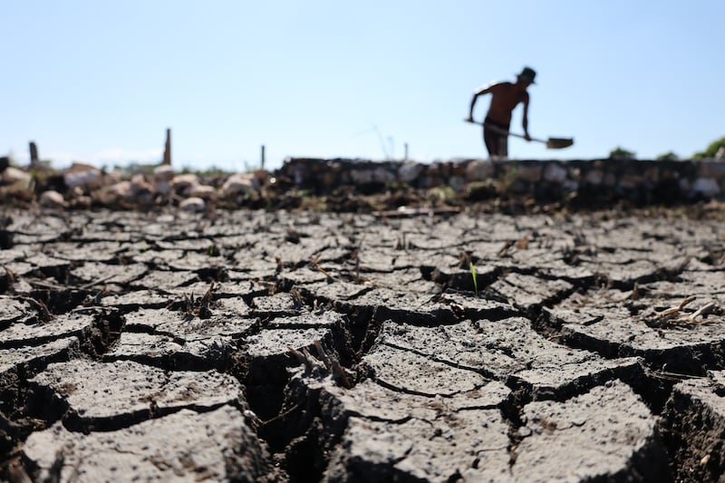 Así se preparan los países de América Latina para enfrentar El Niño