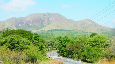 Se inicia proceso por quema en bosques del Guacamaya