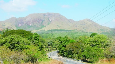 Se inicia proceso por quema en bosques del Guacamaya